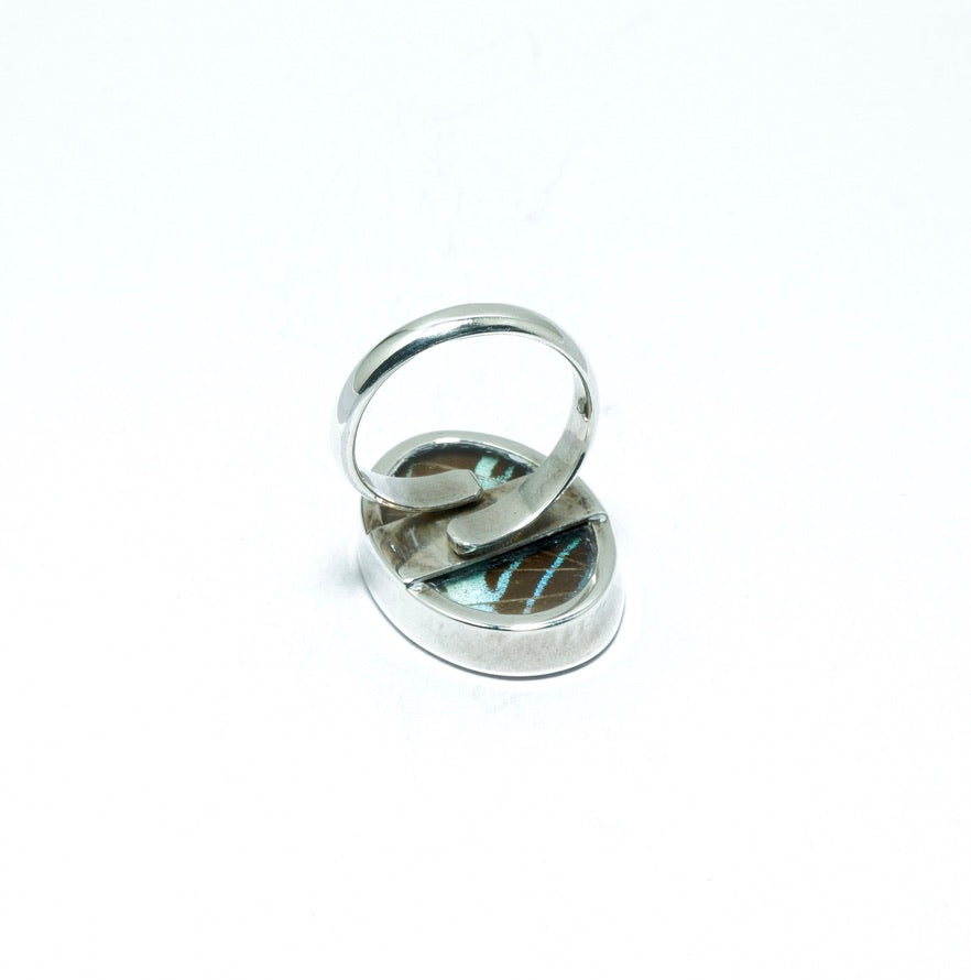 Urania Ripheus luxury silver ring II - ITIncanTraditional