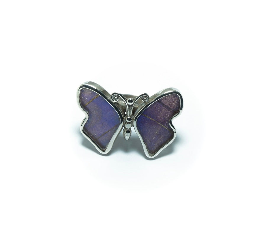 Blue butterfly luxury silver ring - ITIncanTraditional