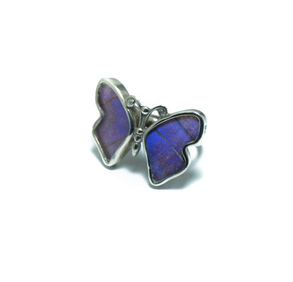 Blue butterfly luxury silver ring - ITIncanTraditional