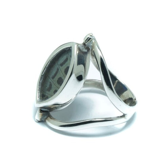 Butterfly double luxury adjustable silver ring II - ITIncanTraditional