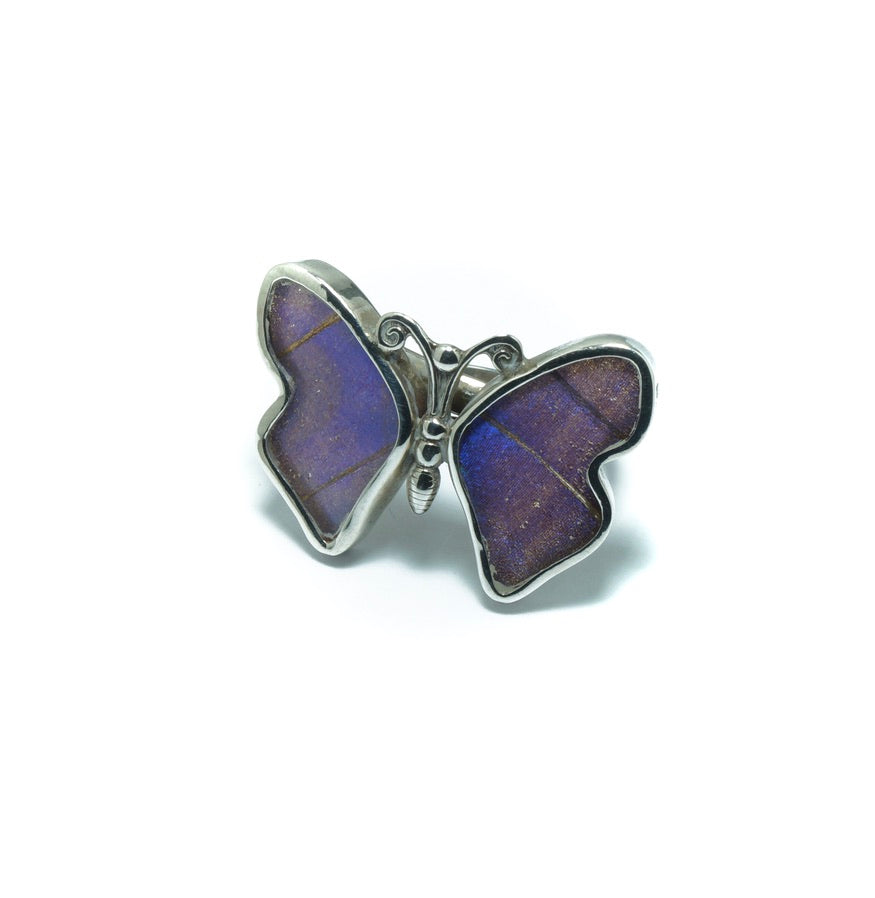 Blue butterfly luxury silver ring - ITIncanTraditional