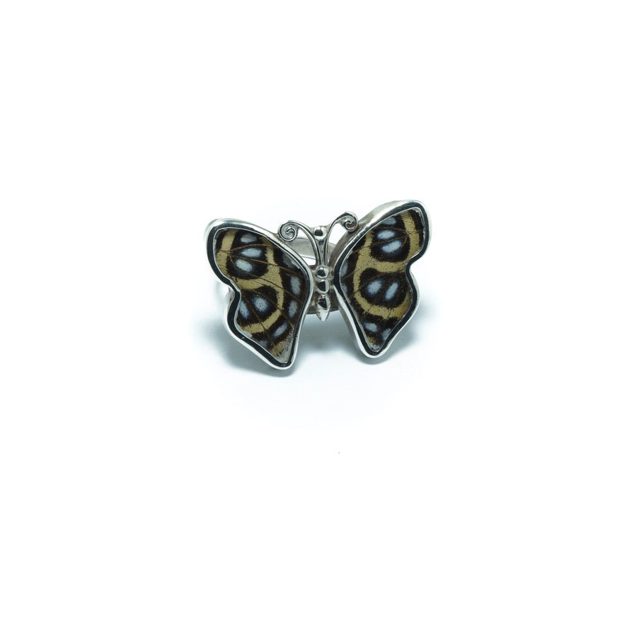 Exotic butterfly luxury silver ring II - ITIncanTraditional