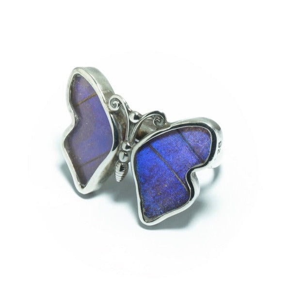 Blue butterfly luxury silver ring - ITIncanTraditional