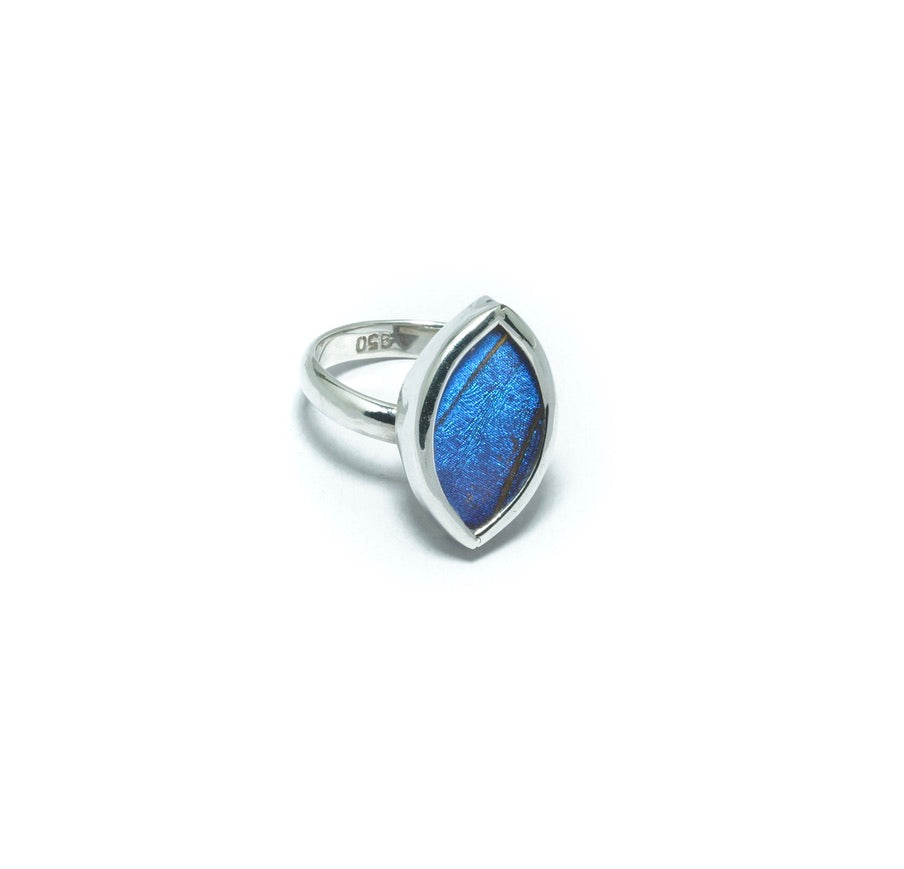 Morpho Helena blue butterfly luxury silver ring - ITIncanTraditional